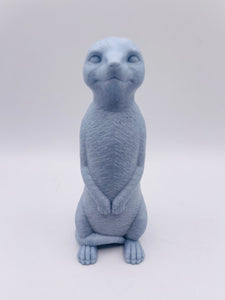 Meerkat 120g