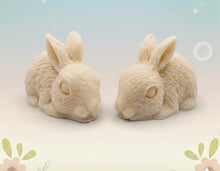 Load image into Gallery viewer, Handmade vegan soaps featuring a set of two detailed rabbit soaps, beautifully gift boxed in eco friendly packaging. crafted with natural French clays, activated charcoal and essential oils. a eco-friendly, zero waste gift that’s cruelty-free, skin-nourishing, and perfect for rabbit owners gifts and Mother’s Day. Small business UK
