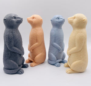 Meerkat 120g