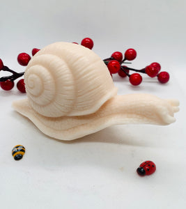 Slimer The Snail - 160g