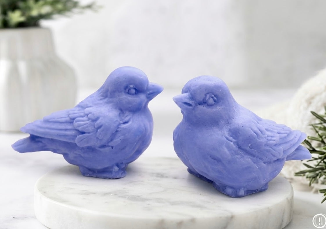 A handmade blue vegan soaps featuring two soaps sculpted into round, feathered birds facing each other, presented in a brown kraft box tied with a red raffia ribbon and decorated with a small bee and ladybird.