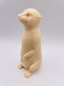 Meerkat 120g
