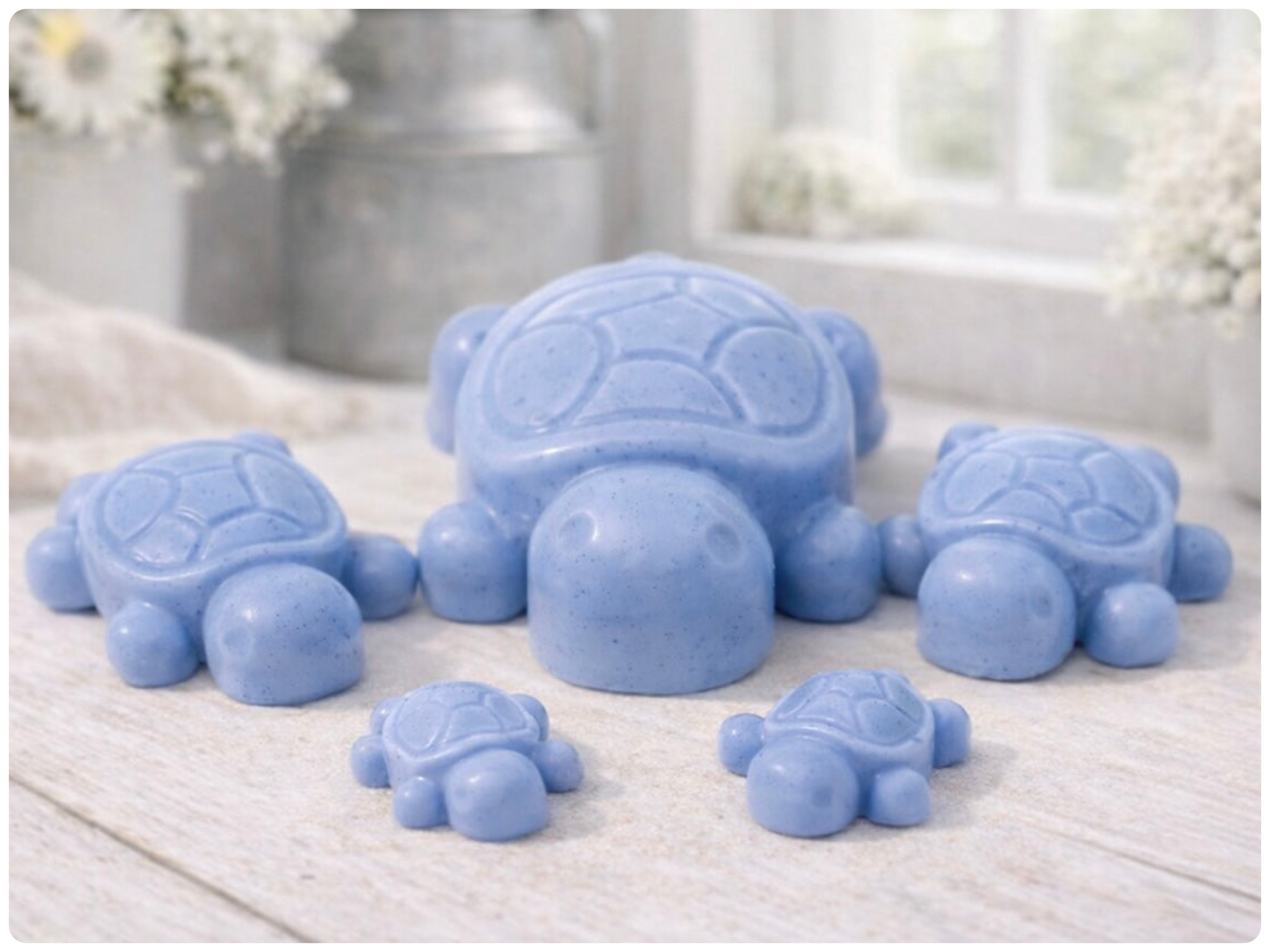 Handmade vegan soaps featuring a set of 5 turtle family soaps and gift boxed in beautiful eco friendly packaging