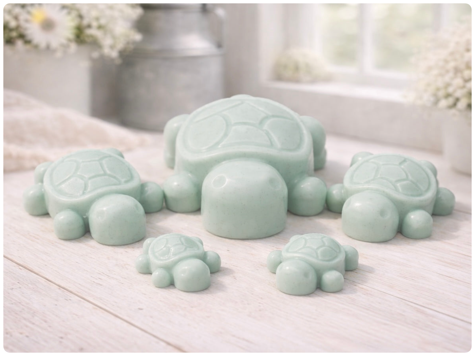 Handmade vegan soaps featuring a set of 5 turtle family soaps and gift boxed in beautiful eco friendly packaging