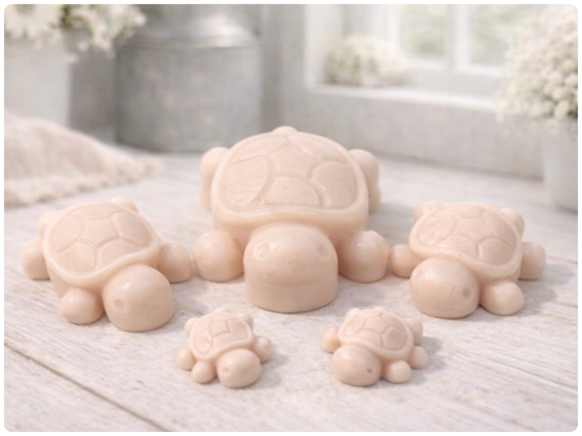 Handmade vegan soaps featuring a set of 5 turtle family soaps and gift boxed in beautiful eco friendly packaging