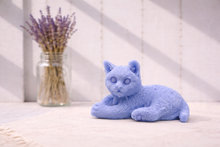 Load image into Gallery viewer, Handmade vegan soaps featuring a lazy cat, in beautiful eco friendly packaging.
