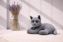 Load image into Gallery viewer, Handmade vegan soaps featuring a lazy cat, in beautiful eco friendly packaging.
