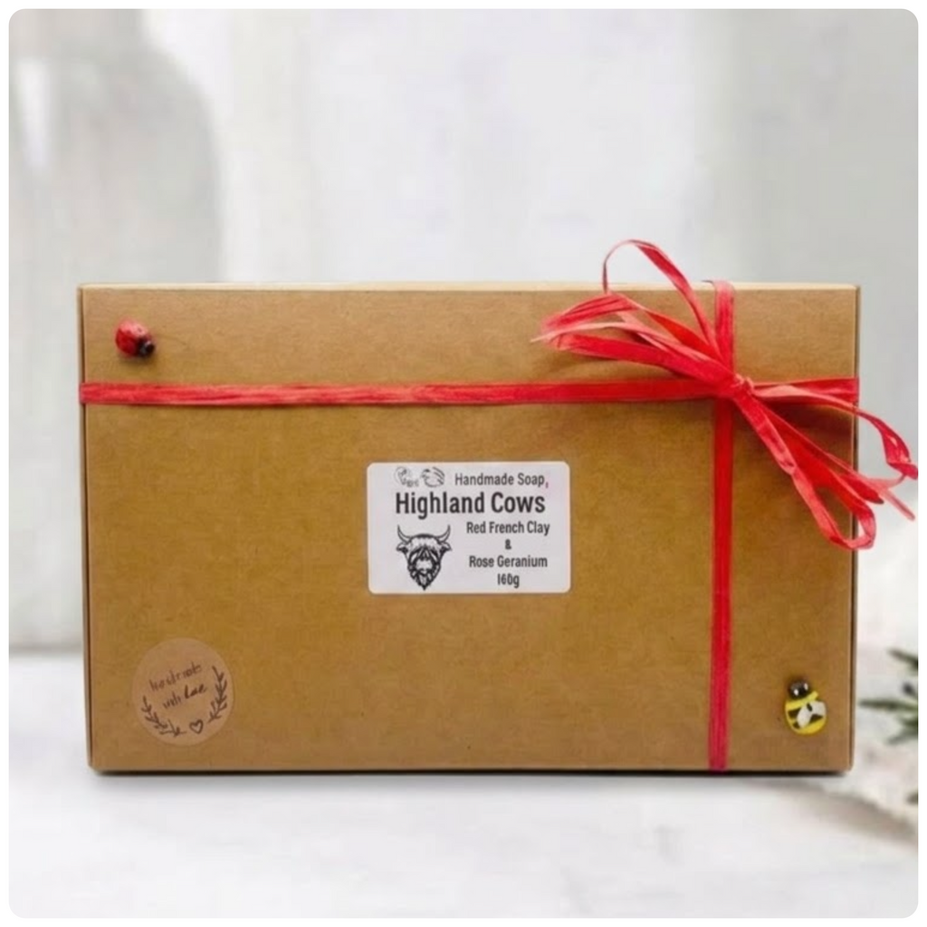 A kraft brown cardboard gift box is tied with a red ribbon and bow. It has a white label reading "Handmade Soap, Highland Cows, Red French Clay & Rose Geranium, 160g," along with a small ladybug and bee charm, and a stamp that says "handmade with love."