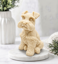 A detailed handmade vegan soap made with yellow French clay and sculpted in the shape of a sitting Schnauzer dog with characteristic fluffy eyebrows and beard, in a natural colour, set against a bright window and white flowers. By soap Simple creations 