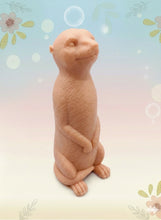 Load image into Gallery viewer, Handmade vegan soaps featuring a  set of 5 turtle family soaps and gift boxed in beautiful eco friendly packaging crafted with natural French clays, activated charcoal and essential oils. a eco-friendly, zero waste gift that’s cruelty-free, skin-nourishing, and perfect for turtle lovers and animal themed gifts. small business UK
