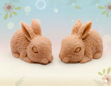Load image into Gallery viewer, Handmade vegan soaps featuring a set of two detailed rabbit soaps, beautifully gift boxed in eco friendly packaging. crafted with natural French clays, activated charcoal and essential oils. a eco-friendly, zero waste gift that’s cruelty-free, skin-nourishing, and perfect for rabbit owners gifts and Mother’s Day. Small business UK
