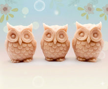 Load image into Gallery viewer, Handmade vegan soaps featuring a set of three owls, gift boxed in beautiful eco friendly packaging. crafted with natural French clays, activated charcoal and essential oils. a eco-friendly, zero waste gift that’s cruelty-free, skin-nourishing, the perfect gift for owl lovers and animal lovers. small business UK
