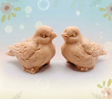 Load image into Gallery viewer, Handmade vegan soaps featuring a set of two love birds . gift boxed in beautiful eco friendly packaging. crafted with natural French clays, activated charcoal and essential oils. a eco-friendly, zero waste gift that’s cruelty-free, skin-nourishing, the perfect gift for bird lovers and animal lovers. UK Small Business 
