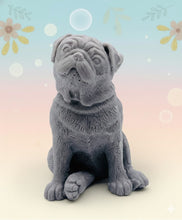 Load image into Gallery viewer, Handmade vegan soaps featuring a cute sitting pug dog. crafted with natural French clays, activated charcoal and essential oils. a eco-friendly, zero waste gift that’s cruelty-free, skin-nourishing, and perfect for pug owner gifts and dog lovers. Beautiful eco friendly packaging. Small Business UK
