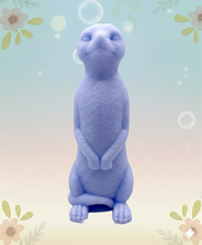 Load image into Gallery viewer, Handmade vegan soaps featuring a  set of 5 turtle family soaps and gift boxed in beautiful eco friendly packaging crafted with natural French clays, activated charcoal and essential oils. a eco-friendly, zero waste gift that’s cruelty-free, skin-nourishing, and perfect for turtle lovers and animal themed gifts. small business UK
