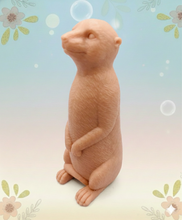 Load image into Gallery viewer, Handmade vegan soaps featuring a  set of 5 turtle family soaps and gift boxed in beautiful eco friendly packaging crafted with natural French clays, activated charcoal and essential oils. a eco-friendly, zero waste gift that’s cruelty-free, skin-nourishing, and perfect for turtle lovers and animal themed gifts. small business UK
