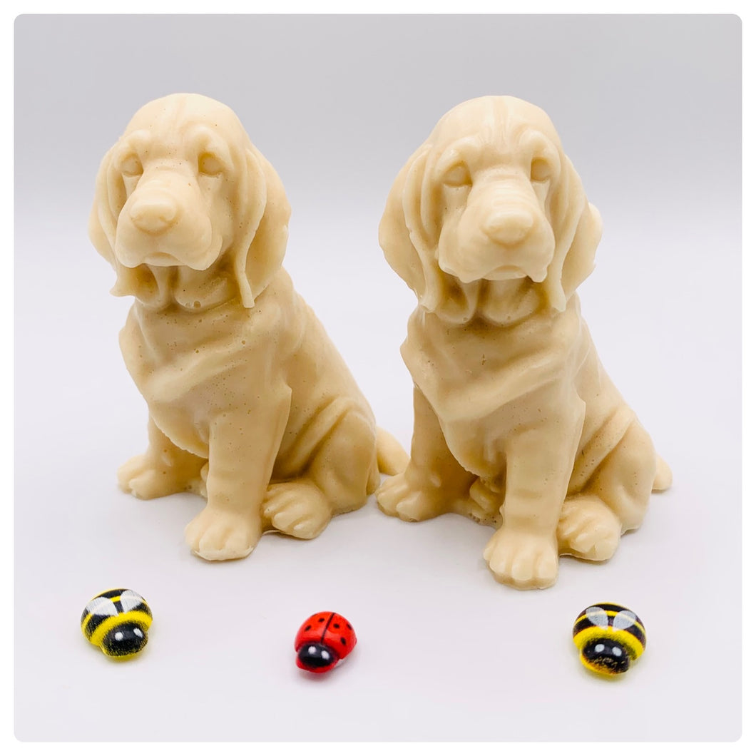 Golden Retriever- Set of 2 - Gift Boxed