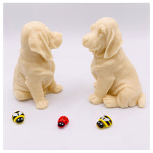 Load image into Gallery viewer, Golden Retriever- Set of 2 - Gift Boxed
