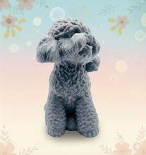 Load image into Gallery viewer, Handmade vegan soaps featuring a large detailed cockapoo dog wrapped in beautiful eco friendly packaging crafted with natural French clays, activated charcoal and essential oils. a eco-friendly, zero waste gift that’s cruelty-free, skin-nourishing, and perfect gift for cockapoo owners, dog lovers and animal themed gifts. small business UK
