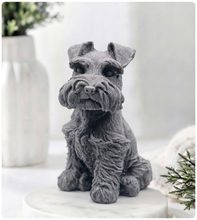 Load image into Gallery viewer, A detailed handmade vegan soap sculpted in the shape of a sitting Schnauzer dog with characteristic fluffy eyebrows and beard, in a natural colour, set against a bright window and white flowers. By soap Simple creations 
