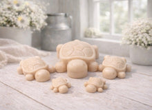 Load image into Gallery viewer, Handmade vegan soaps featuring a  set of 5 turtle family soaps and gift boxed in beautiful eco friendly packaging
