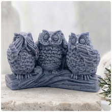 Load image into Gallery viewer, A handmade vegan soap gift featuring three owls perched on a branch in the "See No Evil, Hear No Evil, Speak No Evil" poses, set against a bright window with white flowers.
