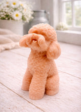 Load image into Gallery viewer, handmade vegan soap in the shape of a realistic sitting cockapoo or poodle sculpture, featuring detailed curly fur texture and a classic poodle groom, displayed on a rustic white wooden surface in a bright farmhouse decor setting.
