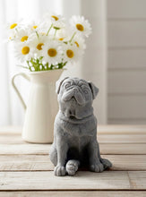 Load image into Gallery viewer, handmade vegan soap in the shape of a realistic sitting pug dog, looking upwards with detailed fur texture, displayed in a spa-like setting 
