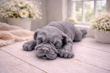 Load image into Gallery viewer, A highly detailed handmade vegan soap in a sophisticated slate-grey tone, sculpted in the shape of a Shar Pei puppy lying flat on its stomach with its head resting on its paws, featuring realistic deep skin folds and wrinkles.
