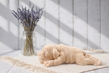 Load image into Gallery viewer, Adorable handmade vegan soap featuring a detailed sleeping shar pei dog. 

