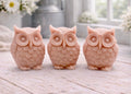 A gift set featuring three handmade vegan soaps shaped like barn owls , arranged in a row on a light wooden surface with white flowers in the background 