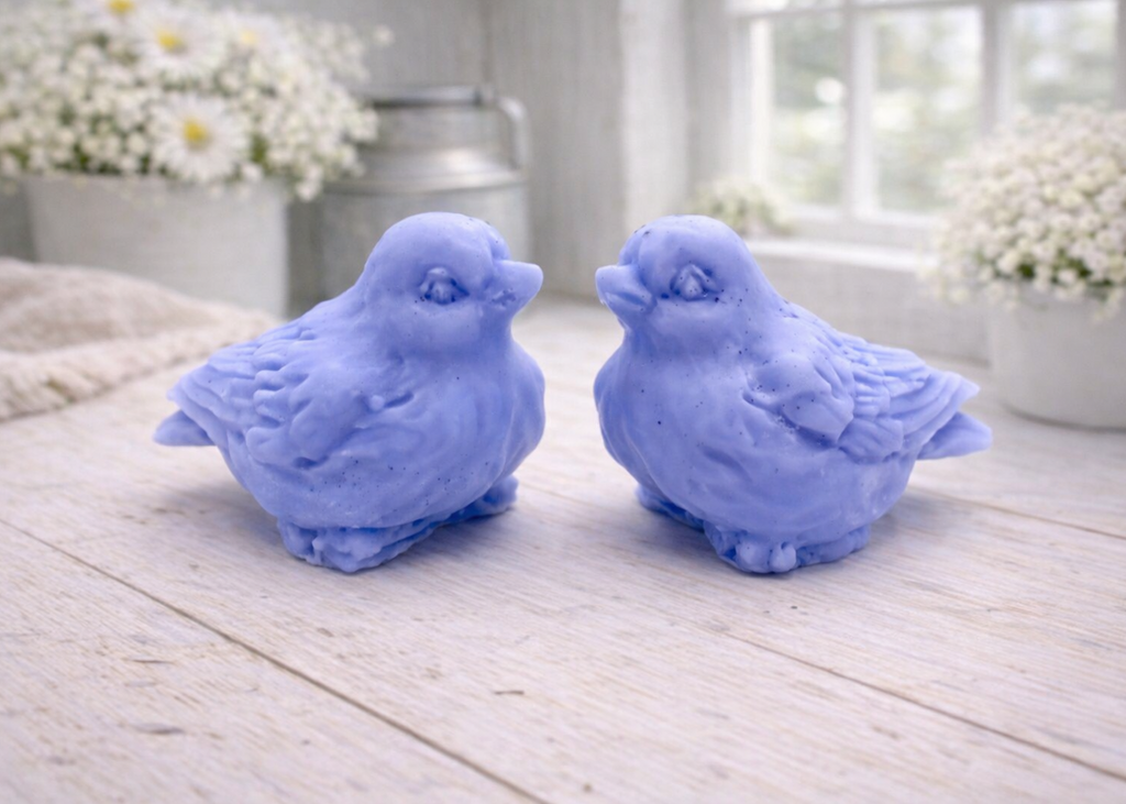 A handmade vegan soap gift set featuring two soaps sculpted into round, feathered birds facing each other, presented in a brown kraft box tied with a red raffia ribbon and decorated with a small bee and ladybird.