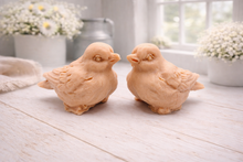 Load image into Gallery viewer, A handmade vegan soap gift set featuring two soaps sculpted into round, feathered birds facing each other, presented in a brown kraft box tied with a red raffia ribbon and decorated with a small bee and ladybird.
