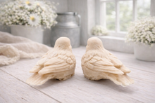 Load image into Gallery viewer, A handmade vegan soap gift set featuring two soaps sculpted into round, feathered birds facing each other, presented in a brown kraft box tied with a red raffia ribbon and decorated with a small bee and ladybird.
