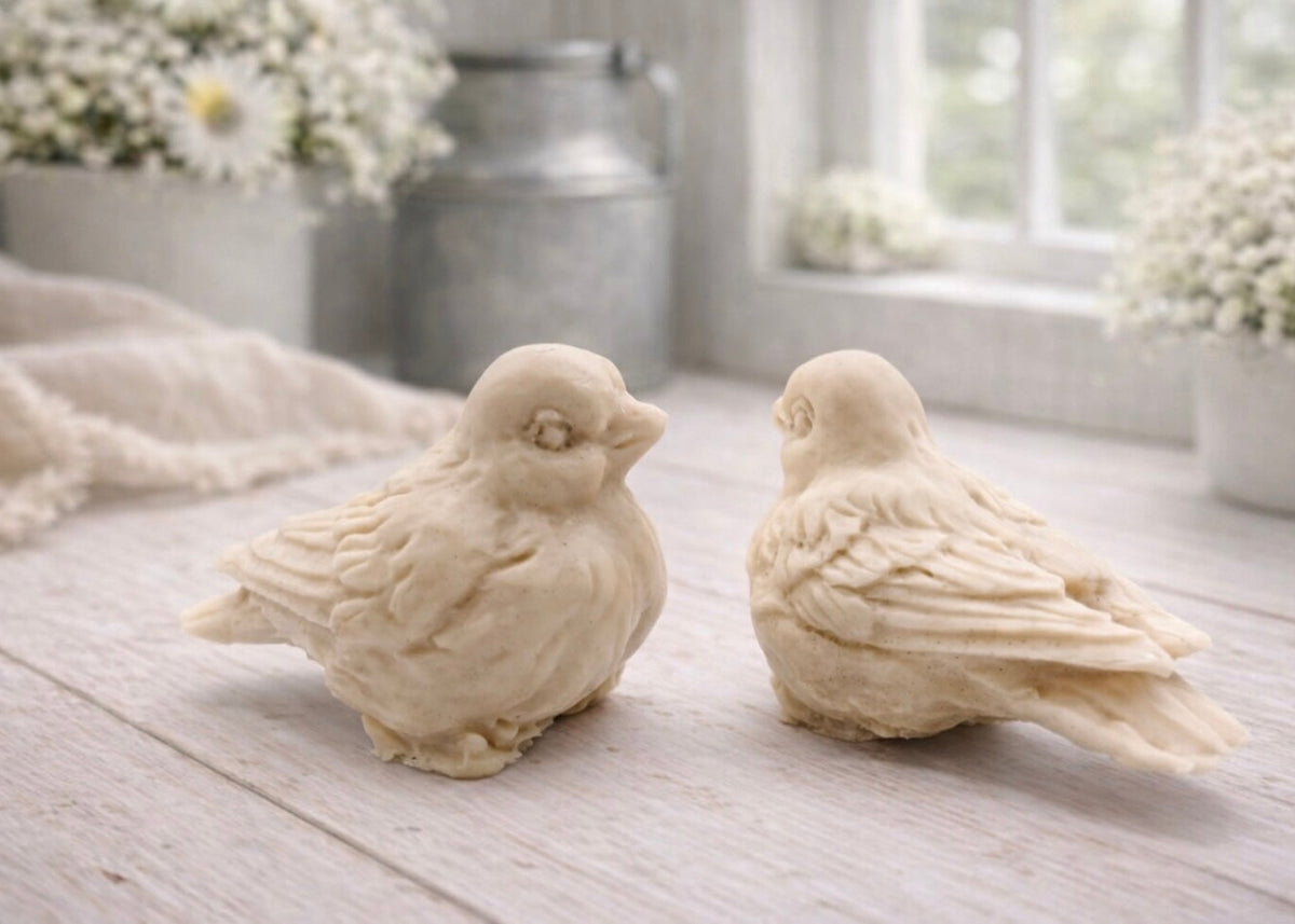 A handmade vegan soap gift set featuring two soaps sculpted into round, feathered birds facing each other, presented in a brown kraft box tied with a red raffia ribbon and decorated with a small bee and ladybird.