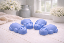 Load image into Gallery viewer, A charming collection of four handmade vegan soaps featuring four piglets, each intricately sculpted with realistic textures and playful expressions, arranged on a light wooden surface.
