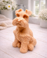 Load image into Gallery viewer, A detailed handmade vegan soap sculpted in the shape of a sitting Schnauzer dog with characteristic fluffy eyebrows and beard, in a natural colour, set against a bright window and white flowers. By soap Simple creations 
