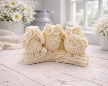 Load image into Gallery viewer, A handmade vegan soap gift featuring three owls perched on a branch in the "See No Evil, Hear No Evil, Speak No Evil" poses, set against a bright window with white flowers.
