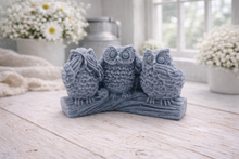 Load image into Gallery viewer, A handmade vegan soap gift featuring three owls perched on a branch in the "See No Evil, Hear No Evil, Speak No Evil" poses, set against a bright window with white flowers.

