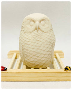 Large 3D Owl - 200g