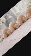 Load and play video in Gallery viewer, Handmade Bunny Tail Soap Set – Easter Rabbit Gift,  Spring Farmhouse Decor
