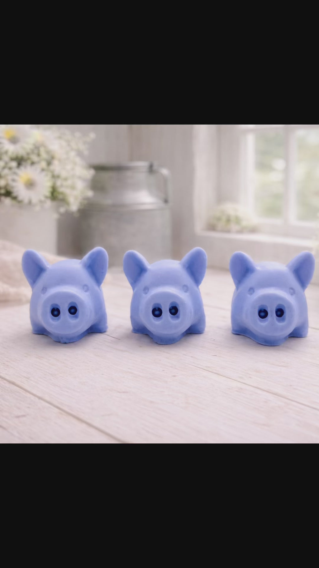 Chunky Pigs Soap Gift Set