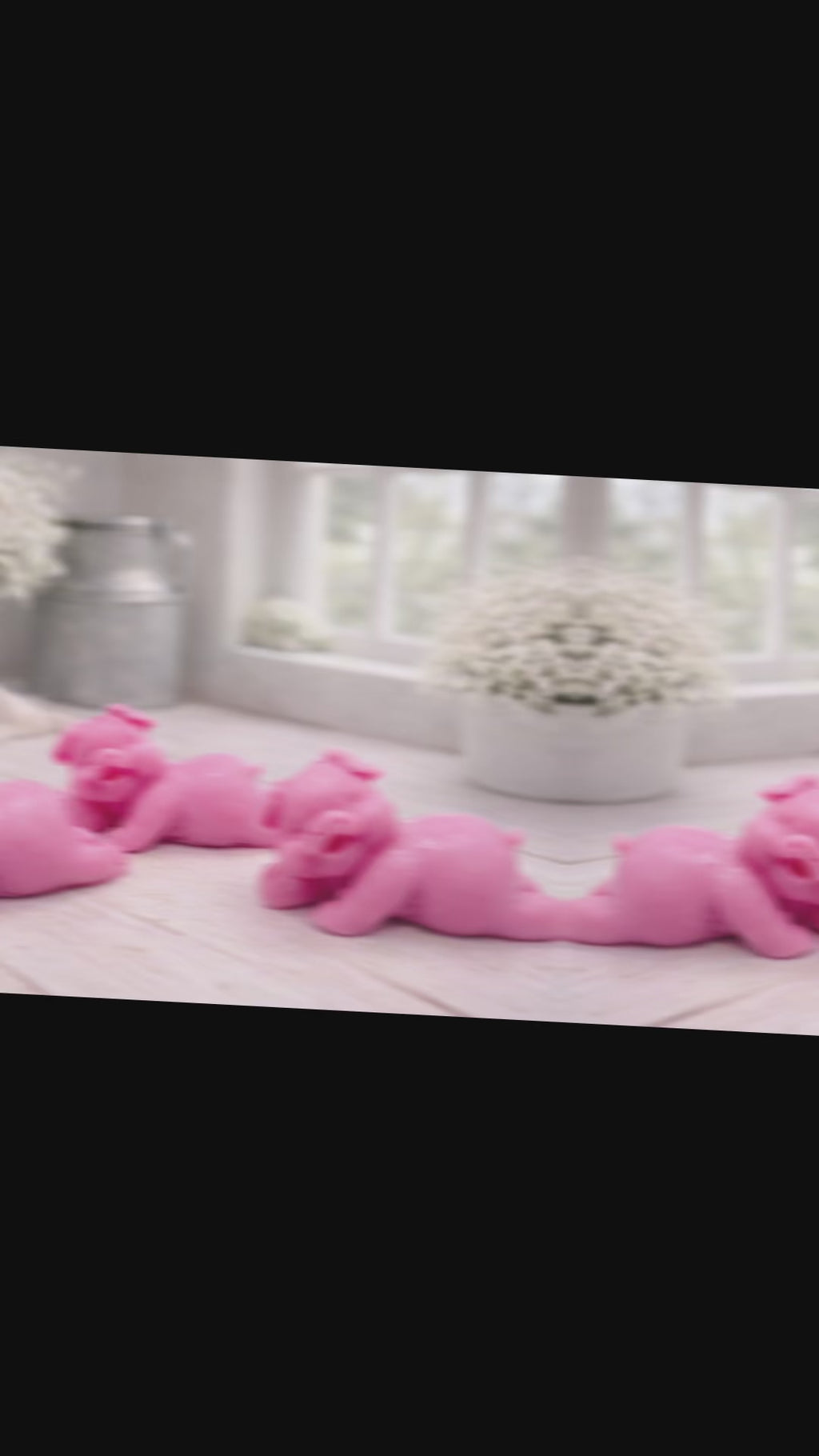 Laughing Pigs Soap Gift Set