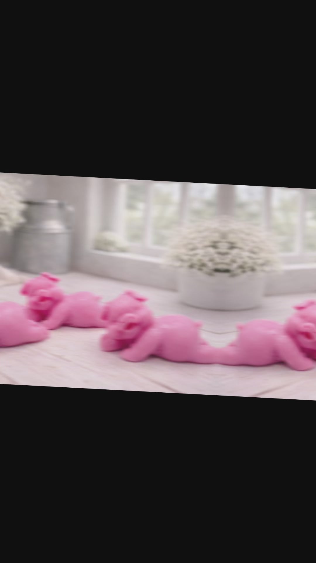 Laughing Pigs Soap Gift Set