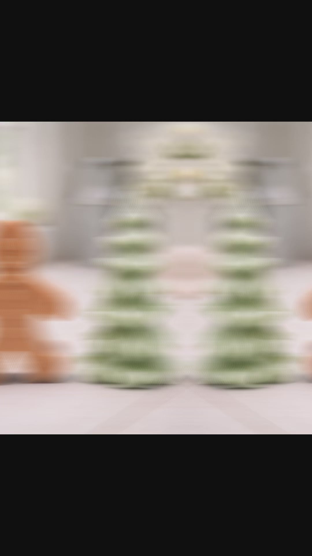 Gingerbread Man & Christmas Tree Vegan Soap Gift Set