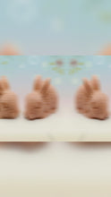 Load and play video in Gallery viewer, Rabbit Gift Set | Handmade Vegan Soap | Easter Gift | Animal Lover | Woodland Decor UK

