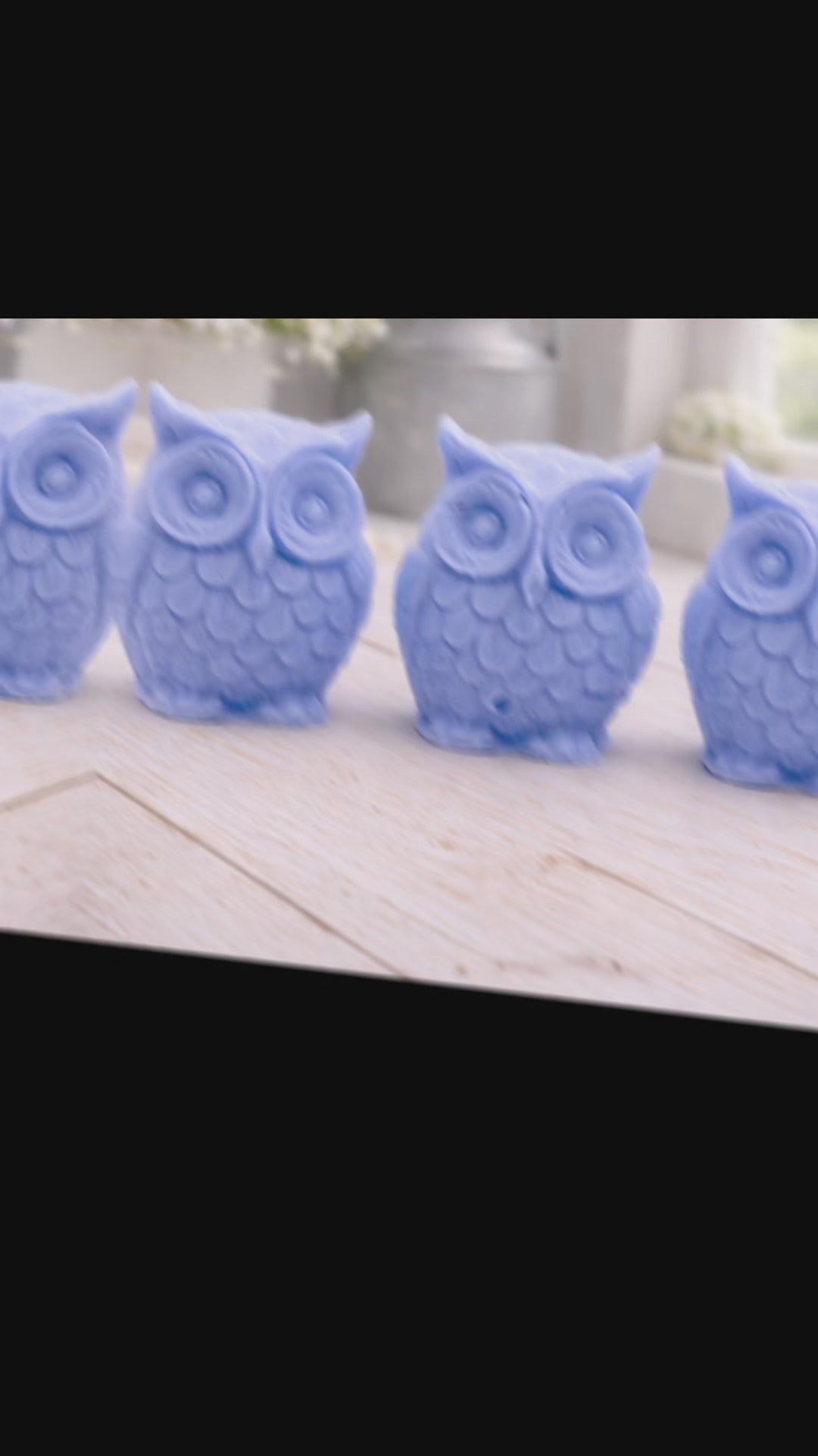 Barn Owls Soap Gift Set