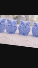 Load and play video in Gallery viewer, Handmade Barn Owl Soap Set – Animal Lover Gift, Woodland Decor

