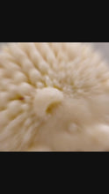 Load and play video in Gallery viewer, Handmade Hedgehog Soap – Woodland Gift, Cottage Decor
