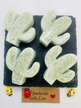 Load image into Gallery viewer, Little Cactus Soaps 100g - Set of 4 - Gift Boxed
